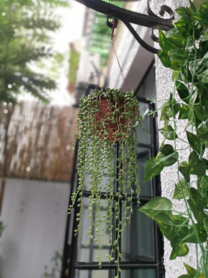 林人酒店 Jingan Buitenkant foto